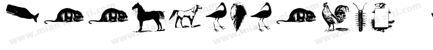 ZoomlaBaoren A102字体转换